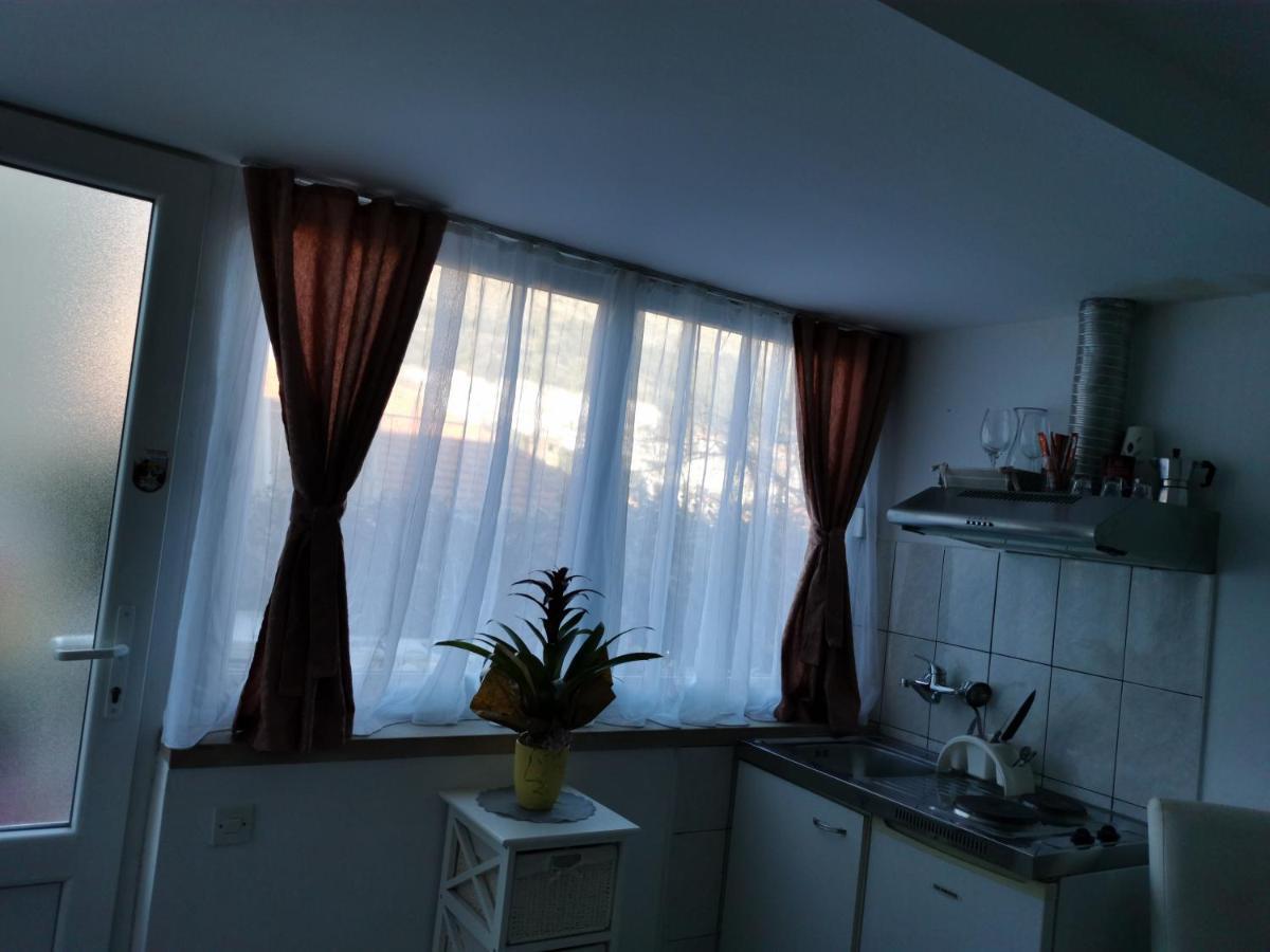 Apartman Zoric &