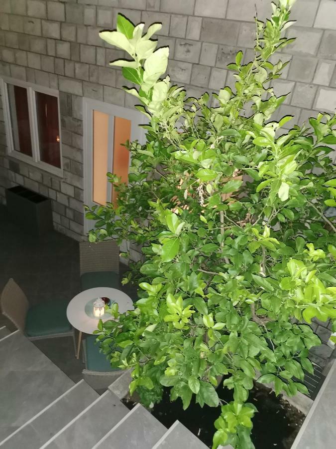 Apartment Zoric & *